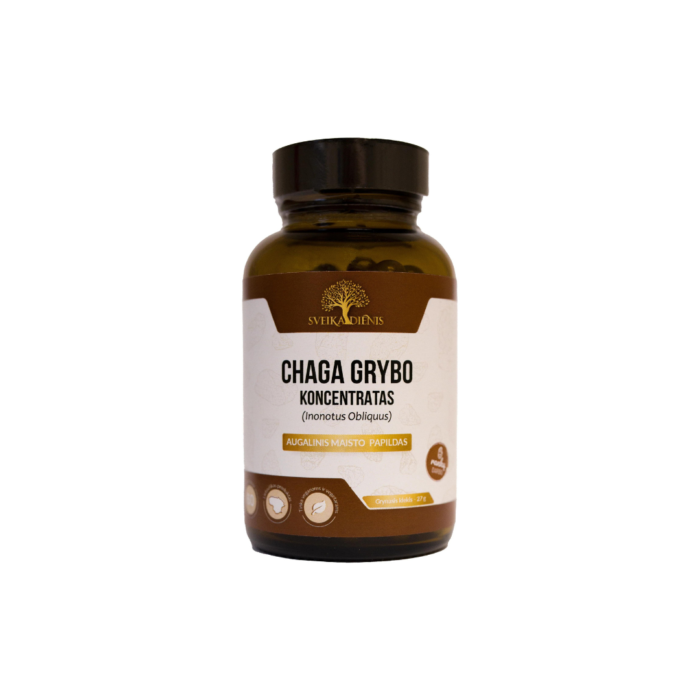 Chaga Grybo koncentratas, 60 vnt.