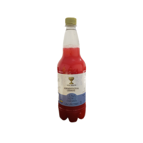 Juodųjų serbentų fermentuotas probiotinis gėrimas, 1 L