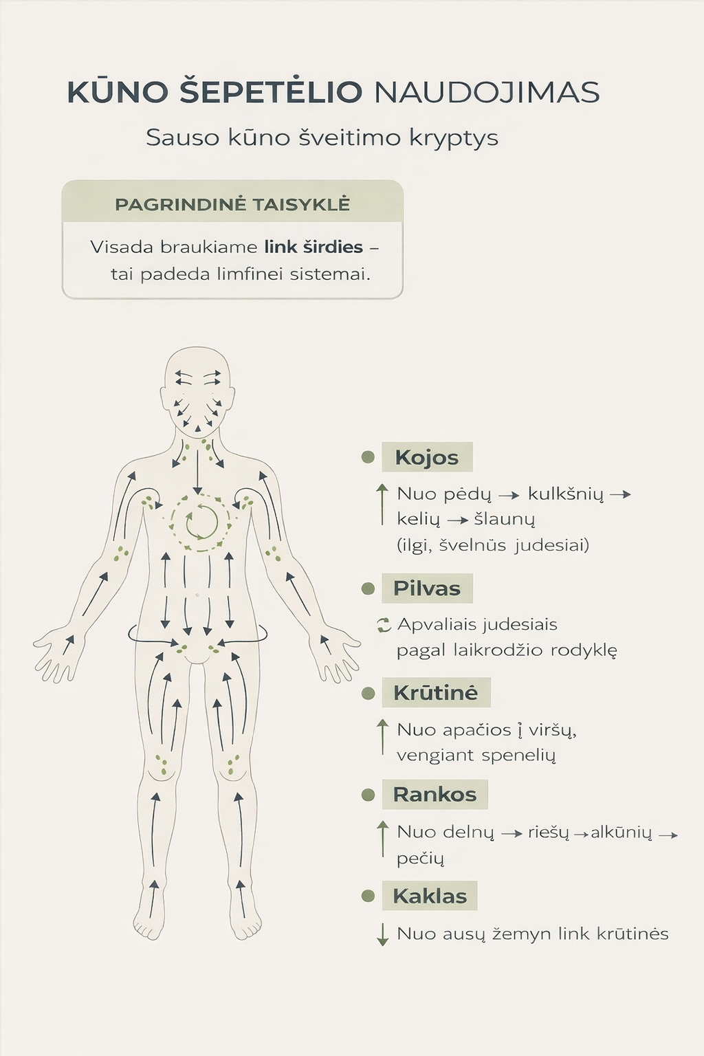 Vario kūno šepetys su jonizuotais šereliais - Image 4
